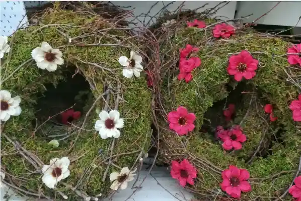 Shop Easter wreaths